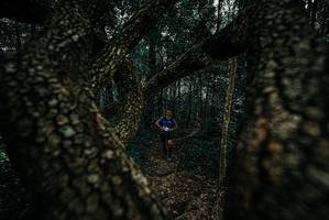 BIB: 
                            <button type="button" onclick="openModal(25680947)" class="btn btn-primary btn-sm float-right btn-popup" data-toggle="modal" data-target=".modal-high-quality">
                        <i class="fas fa-shopping-cart"></i> Add to Cart
                    </button>
                                            <button type="button" onclick="isThisMe(25680947, true)" class="btn btn-success btn-sm float-right btn-popup btn-isme hidden" data-toggle="tooltip" data-placement="bottom" title="นี่คือรูปของคุณใช่ไหม คลิกที่นี่เพื่อเอาเข้าอัลบั้ม">
                        <i class="fas fa-plus"></i> Add to album
                    </button>
                    <button type="button" onclick="isThisMe(25680947, false)" class="btn btn-warning btn-sm float-right btn-popup btn-isnotme hidden">
                        <i class="fas fa-ban"></i> Remove from album
                    </button>